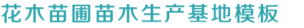尊龙手机官方客户端下载